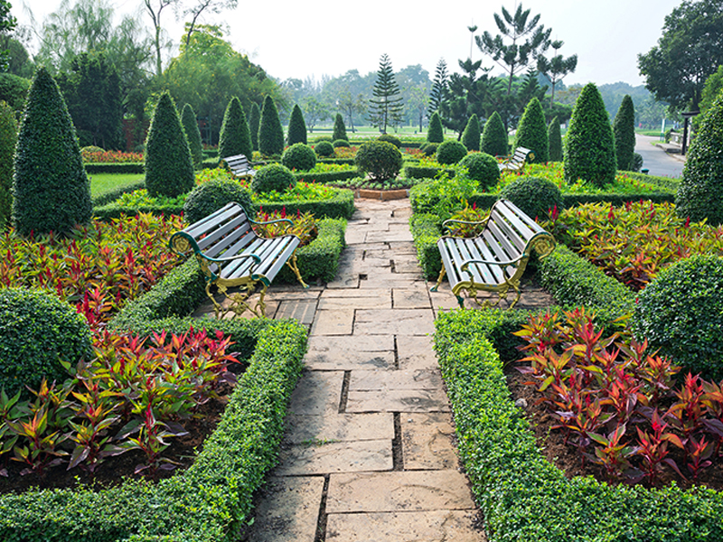 Landscape Design Service